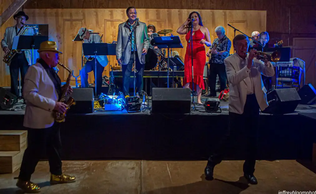 An image of The Soul Cats band